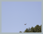 dnestr2012_78