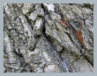 dnestr2013_52