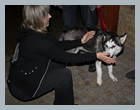DR_Sova2012_66