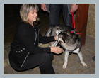 DR_Sova2012_67