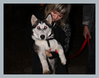 DR_Sova2012_68
