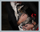 DR_Sova2012_80