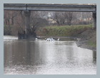 Starii Orgeev_108