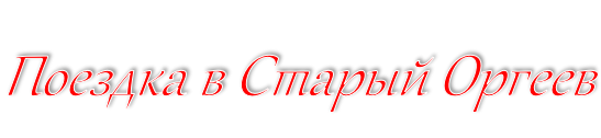 Поездка в Старый Оргеев